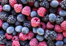 MEZCLA DE FRUTAS CONGELADAS (MIX BERRIES) SABROSON